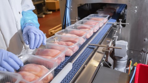 El uso de este material actúan como absorbentes bactericidas en envases alimentarios