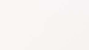 Alimentos a base de plantas