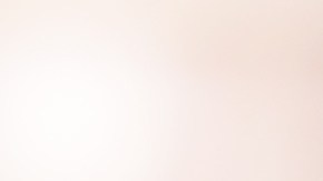 La comida para mascotas  son subproductos de origen animal que pueden contener huesos molidos, piel y órganos