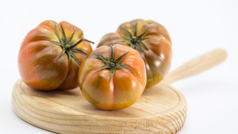 El trabajo aspira hacer más resistente los tomates, ya que “las variedades tradicionales de tomate son sensibles a la mayoría de los virus”.