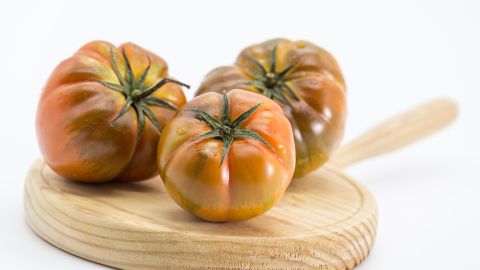 El trabajo aspira hacer más resistente los tomates, ya que  “las variedades tradicionales de tomate son sensibles a la mayoría de los virus”.