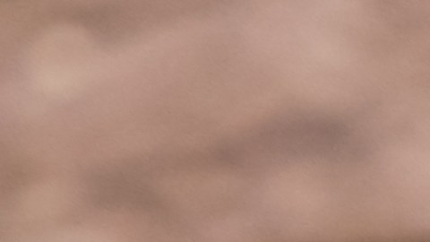 Se trata de la pizza más barata del mundo, ya que solo cuesta 49 rupias, unos  0,60 dólares y mide  17 centímetros,