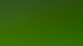 El príncipe de Gales  vendió hamburguesas de un proyecto sustentable