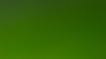 El príncipe de Gales  vendió hamburguesas de un proyecto sustentable