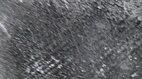 Shuggie's le da una segunda oportunidad a champiñones y pimientos deformes o tomates descoloridos