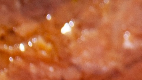 alimentos en lata