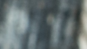 La infusión de menta ha sido utilizada en medicina tradicional durante siglos para trastornos digestivos.