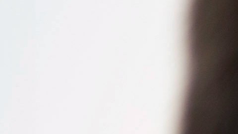 Los empleados necesitan motivación.