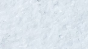 El berro contiene unos compuestos llamados glucosinolatos, considerados coadyuvantes de la inhibición, el crecimiento de células cancerígenas.