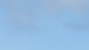 The,Yellow,Scallop,Shell,Signing,The,Way,To,Santiago,De