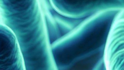 ¿Qué es la enigmática Enfermedad X