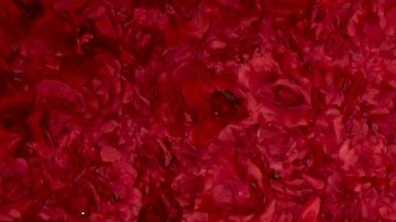 Aylín Mujica es una de las conductoras de 'La Mesa Caliente'.