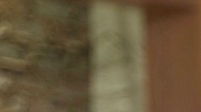 La conductora Lili Estefan atraviesa complicaciones con su estado de salud.