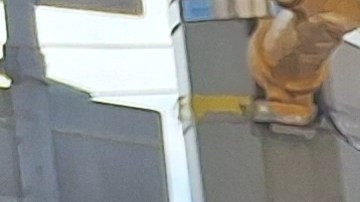 Miles de neoyorquinos como la isleña Carmen López  aseguran que incluso quienes tienen un empleo tienen que luchar para sobrevivir