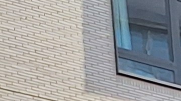 Este martes previo al inicio del año escolar coaliciones y líderes electos ponen el acento en que estas prácticas no aumentan la seguridad ante el ataque de un pistolero