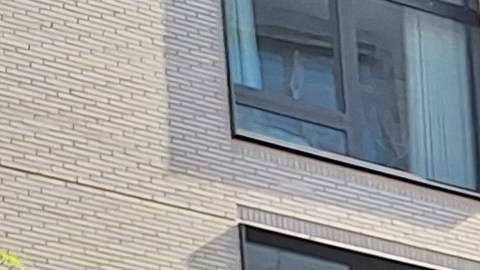 Este martes previo al inicio del año escolar coaliciones y líderes electos ponen el acento en que estas prácticas no aumentan la seguridad ante el ataque de un pistolero