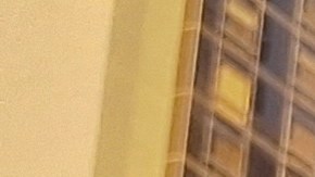 El amparo migratorio durante 18 meses es celebrado por estos suramericanos, pero despierta grandes preguntas en otras comunidades.