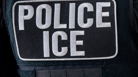 'La Migra' realizó un operativo entre 4 y el 25 de agosto.