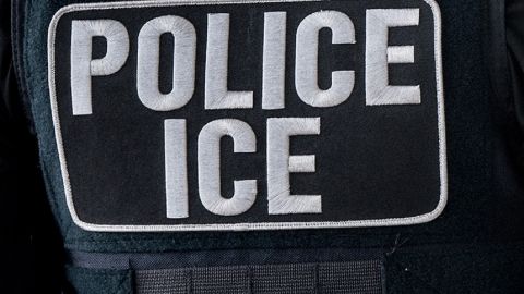 'La Migra' realizó un operativo entre 4 y el 25 de agosto.