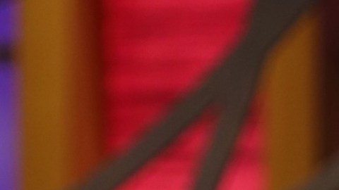 La mexicana Karla Martínez es una de las presentadoras de 'Despierta América'.