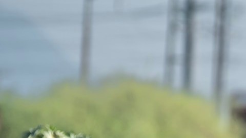 Cientos de migrantes varados en el norte de México por el paro de trenes: la mayoría son venezolanos que esperan llegar a EE.UU.