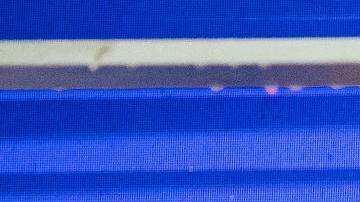 Carlos Sainz (I) celebra con el jefe del equipo Ferrari Frederic Vasseur luego de ganar el GP de Singapur.