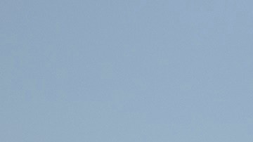 Autoridades estadounidenses disolvieron campamento improvisado de migrantes en la frontera con México