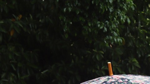 Imagen captada en 2023 de migrantes hacen fila en espera de peticiones de asilo, en la ciudad de Tapachula en el estado de Chiapas (México).