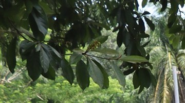 México estima que 150.000 migrantes soliciten refugio este año y supere los históricos registros de 2021