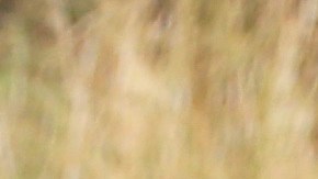 Raúl de Molina felicita a Clarissa Molina.