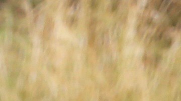 Raúl de Molina felicita a Clarissa Molina.