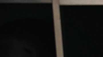 Aaron Boone, con un futuro incierto, comienza a planear el 2024 de los Yankees