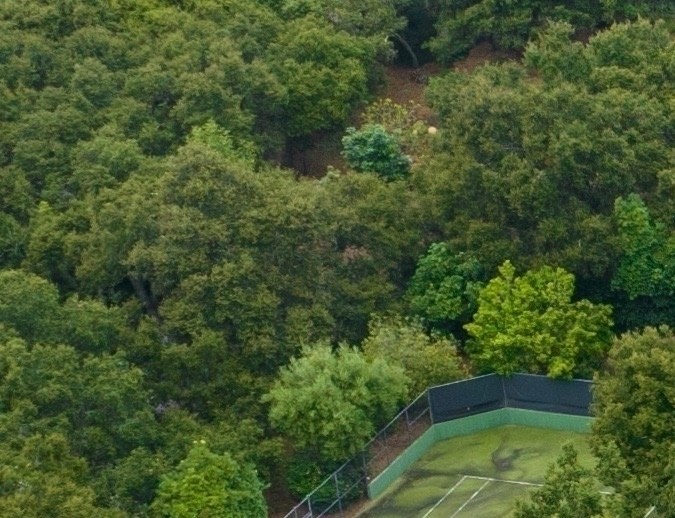 La casa principal tiene una extensión de 10,000 pies cuadrados.