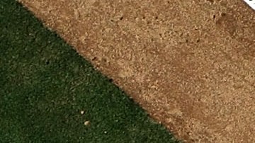 Presentan oficialmente la ‘Baseball Champions League’, torneo que enfrentará a los campeones de las distintas ligas del mundo