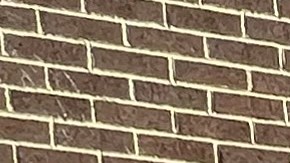 Votantes latinos de NY no identifican a líderes hispanos fuertes