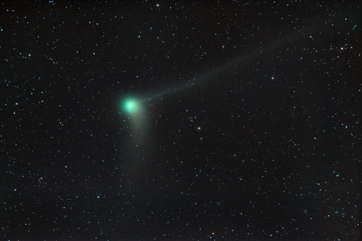Cometa Nishimura atravesará en próximos días la órbita terrestre Cómo verlo desde Estados