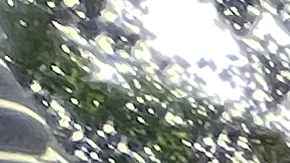 Exigen excarcelar a reclusos de Rikers Island