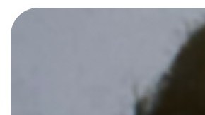 Búsqueda de Danelo Cavalcante en Pennsylvania