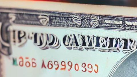 El billete se subastó en $480,000 dólares.