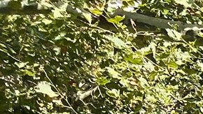 Activistas recordaron que la Gran Manzana tiene el sistema de autobuses más lento del país.