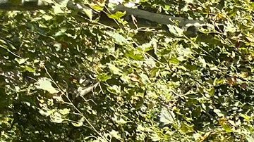 Activistas recordaron que la Gran Manzana tiene el sistema de autobuses más lento del país.