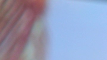 Francisca habla sobre si le gustaría o no tener un tercer bebé.