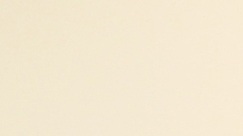 Zoleka Mandela durante una conferencia de prensa.