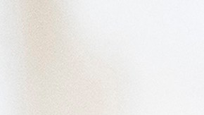 Departamento de Estado de Estados Unidos asegura que Vladimir Putin le "está suplicando ayuda" a Kim Jong-un