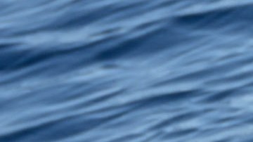 Li'i, el querido delfín de flancos blancos del Pacífico del Miami Seaquarium.