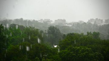 Efectos de una tormenta en Washington D.C.