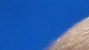 El 74% de los estadounidenses está preocupado por la salud mental de Joe Biden: reveladores datos de una nueva encuesta