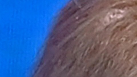 COMBO-US-VOTE-BIDEN-TOWNHALL-TRUMP