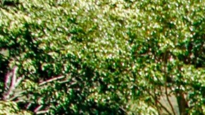 Desmantelan red de "coyotes" y revelan el modus operandi: escondían a migrantes en botes de basura para trasladarlos en Colombia