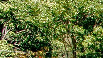 Desmantelan red de "coyotes" y revelan el modus operandi: escondían a migrantes en botes de basura para trasladarlos en Colombia